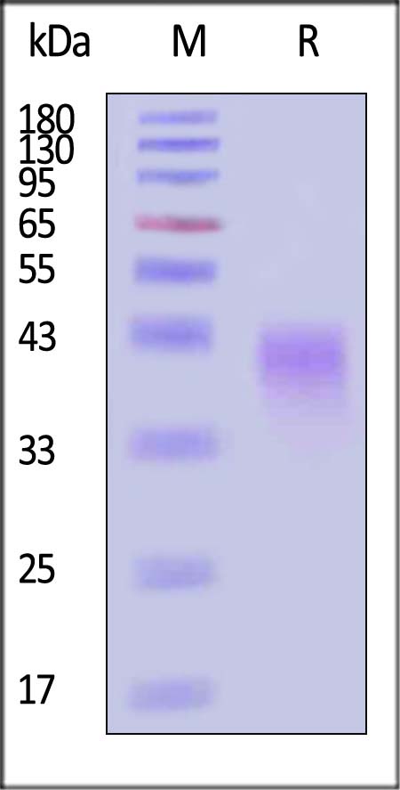 FGB-H52H1-sds