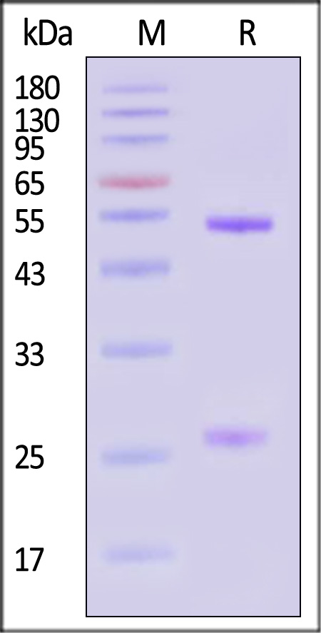 GLN-M645-sds