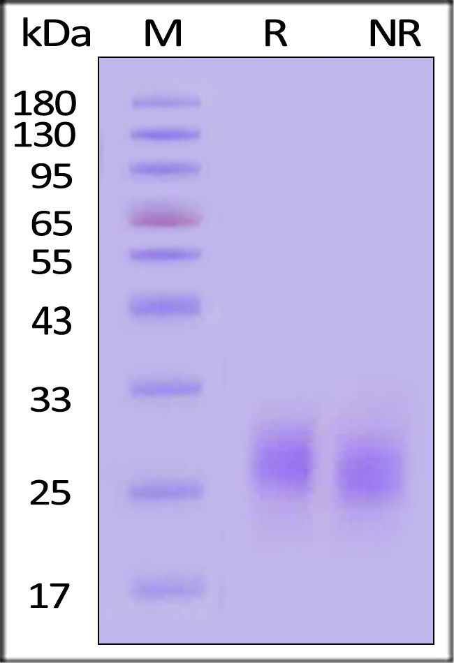 GMF-H4214-sds