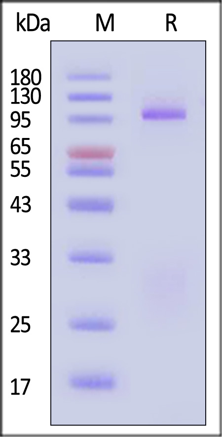 GP0-V82E3-sds