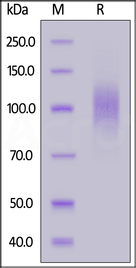 GP4-V15227-sds