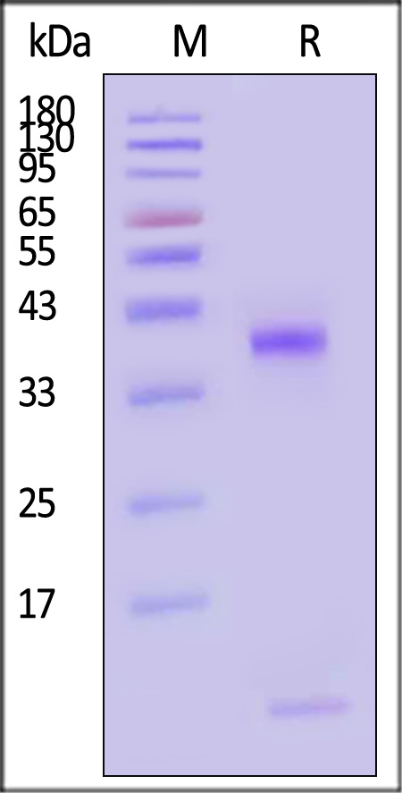 HL0-H82E7-sds