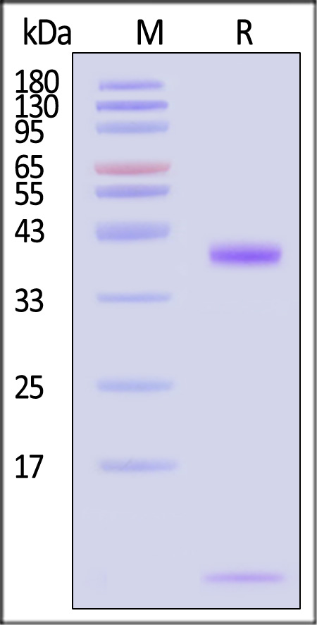 HL1-H82E3-sds