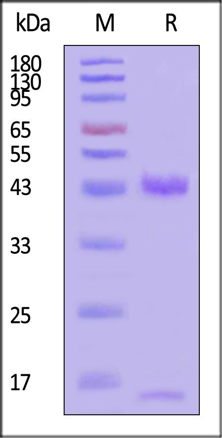 HLC-H52H6-sds