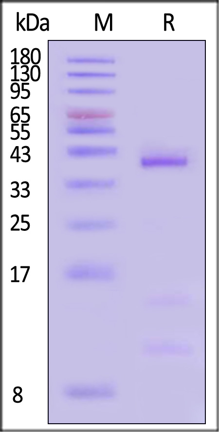 HLD-H52H7-sds