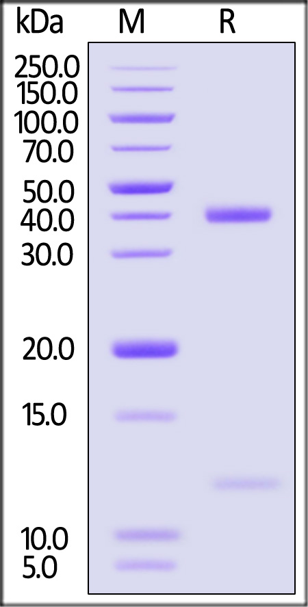 HLD-H82E9-sds