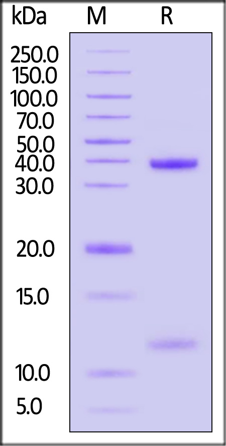 HLM-H82E6-sds