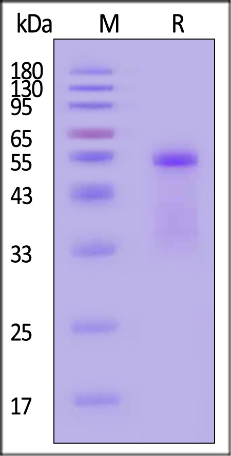 HLM-H82Et-sds