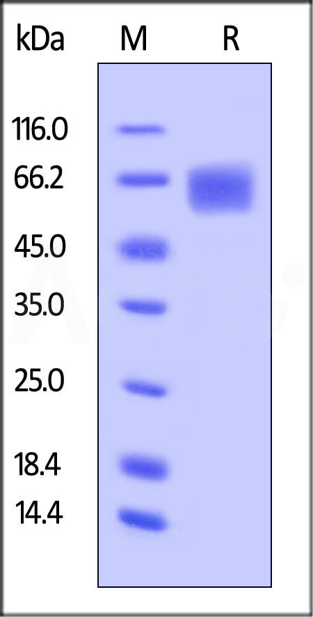 ILR-H4223-sds