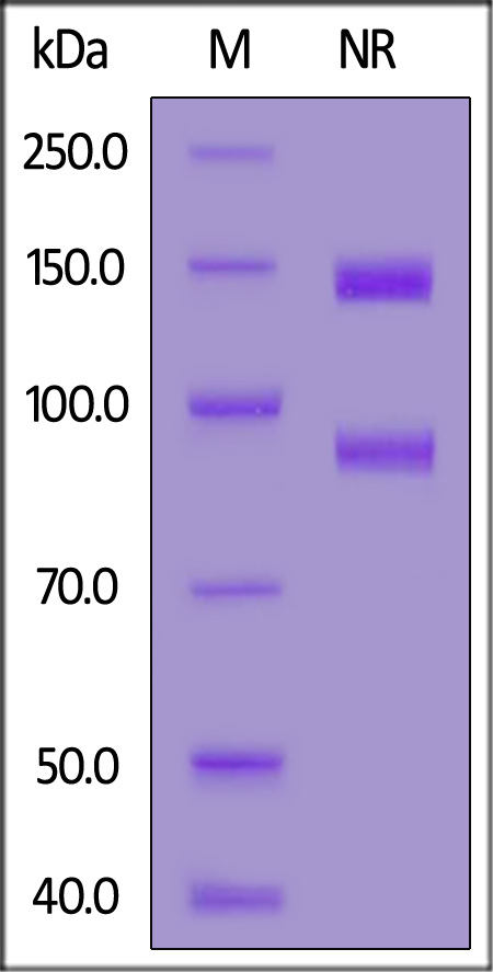 IT3-H52E3-sds