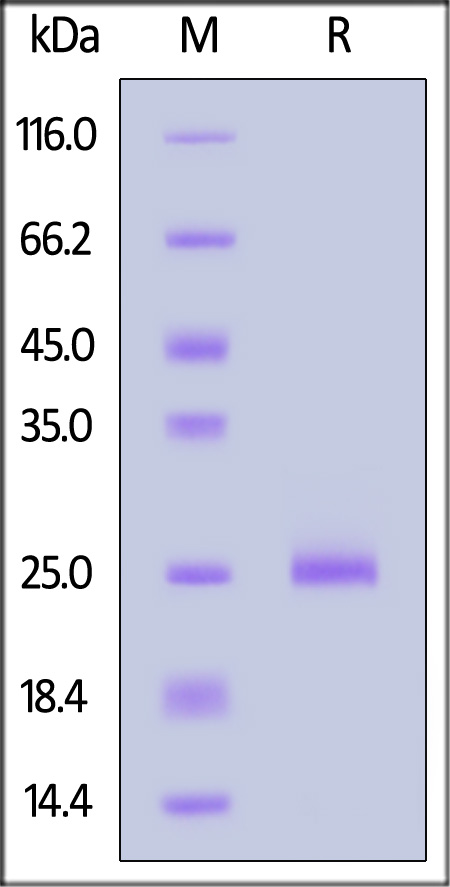 KRS-H51H5-sds