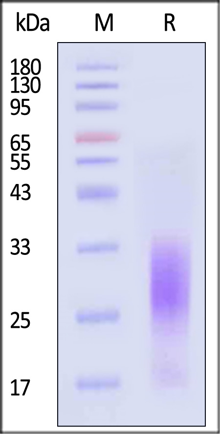 LA1-M52H3-sds