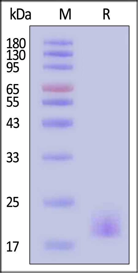 LA2-H82E4-sds