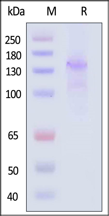 LDR-H82E7-sds