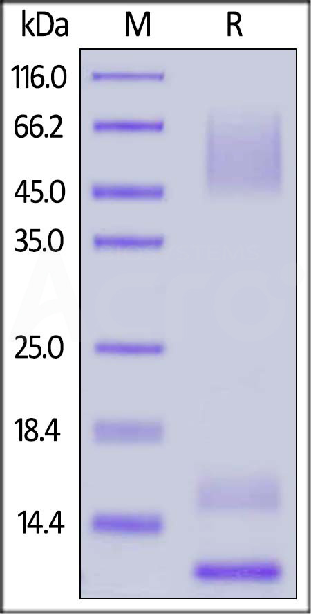 MU1-H82E5-sds