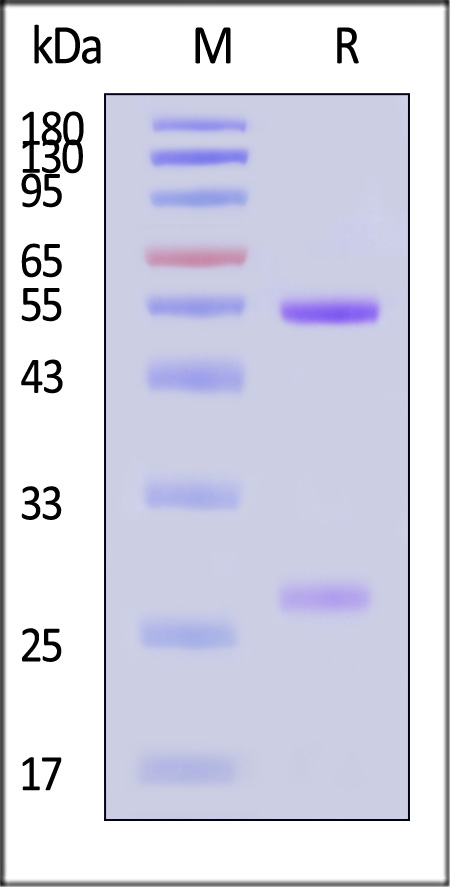 PRN-MY316-sds