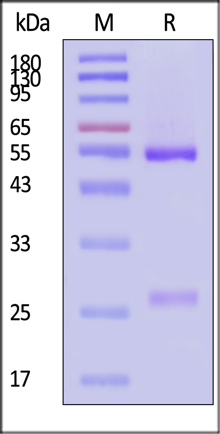 PRN-MY322-sds