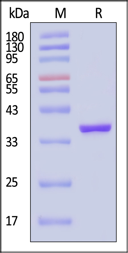 PTB-H5143-sds