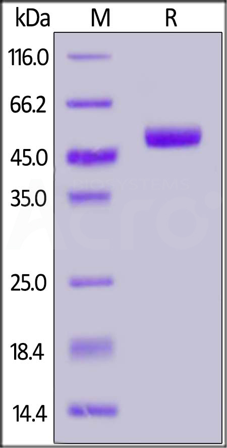 PV2-H52E2-sds