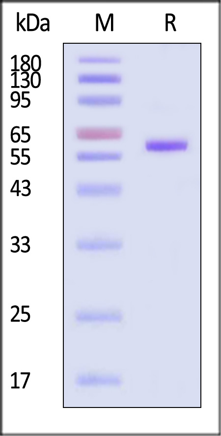 RSF-V82E7-sds