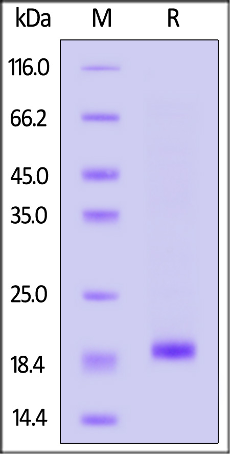 SO1-H5148-sds