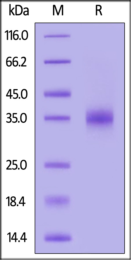 SPD-C82Er-sds