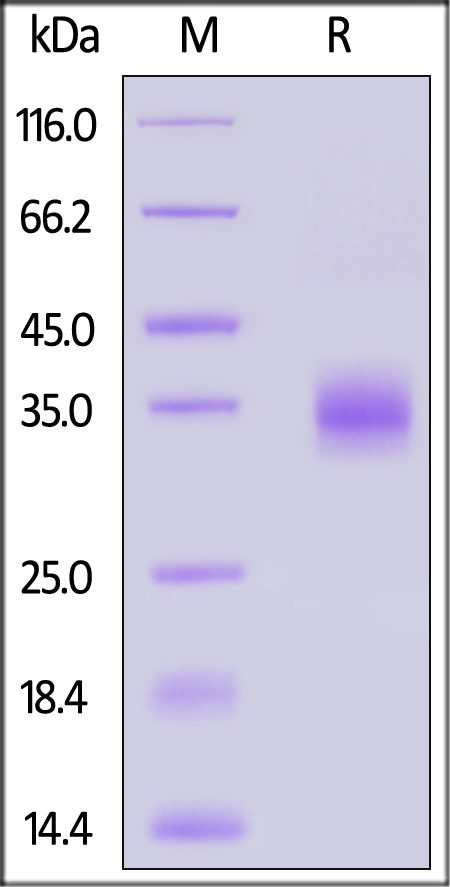 SPD-C82Q2-sds