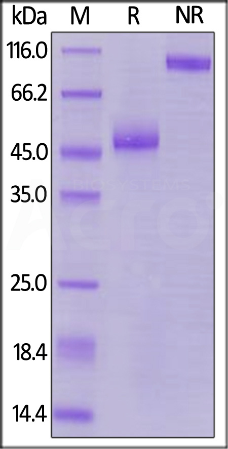 TIT-H82F1-sds