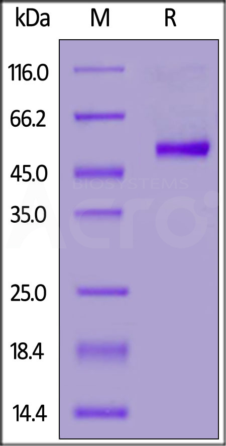 TN5-M5259-sds