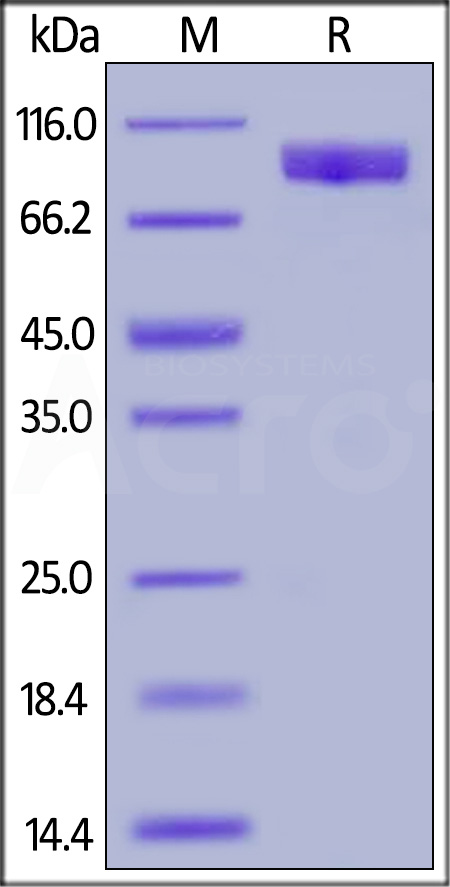 TY3-H5251-sds