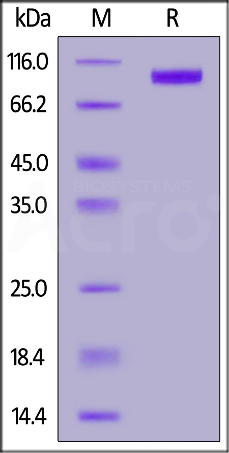 UB1-H5248-sds