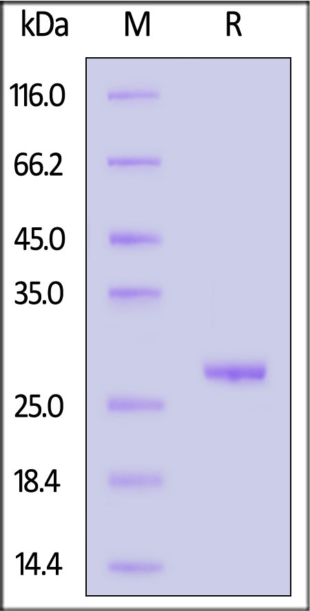 UC3-H5141-sds