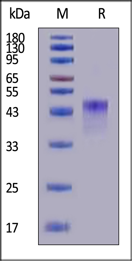 VS4-H82E3-sds