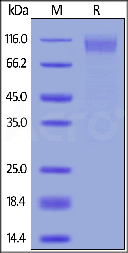 ZE5-V5220-sds