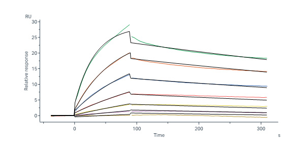  Apolipoprotein E SPR