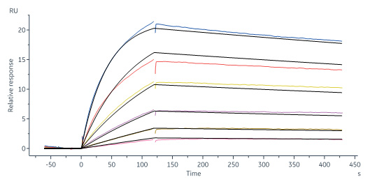  CD19 SPR