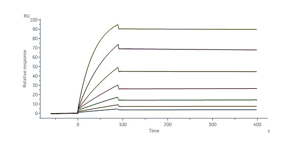  Hemagglutinin-neuraminidase/HN (MuV) SPR