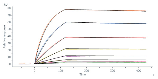  IFN-gamma SPR