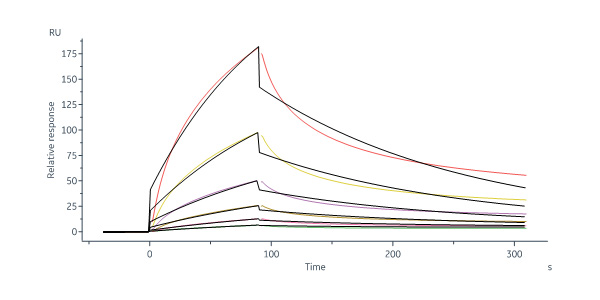  Integrin alpha V beta 6 SPR