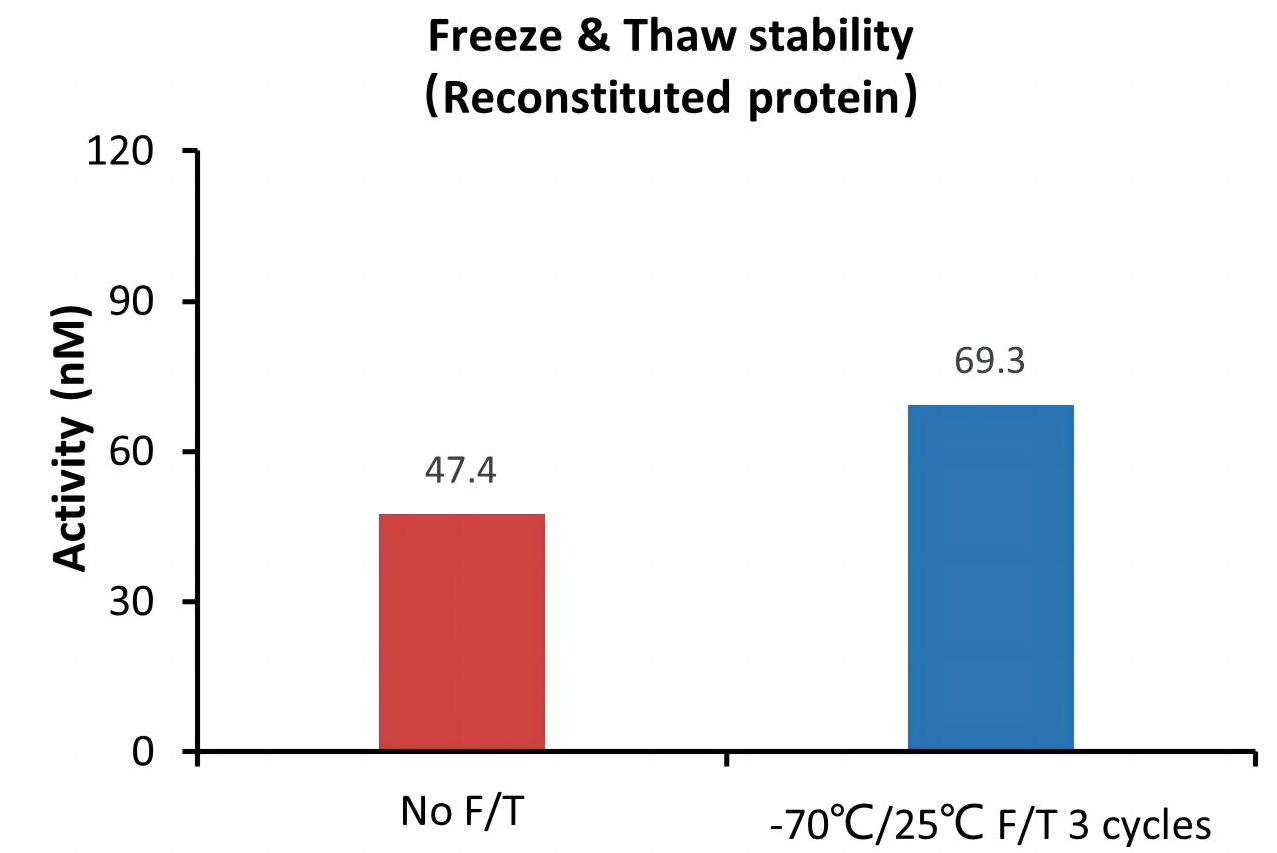  DLL4 STABILITY