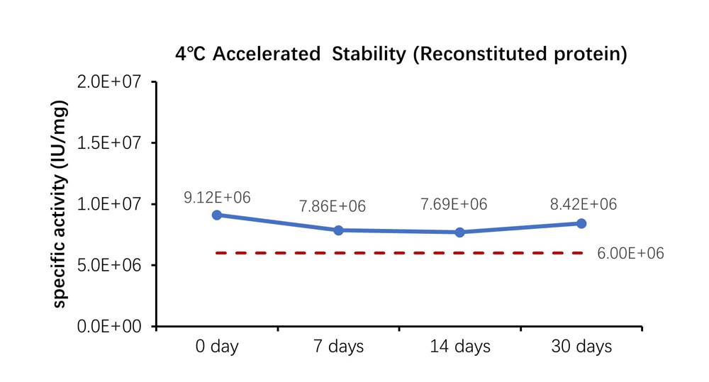  TGF-beta 1 STABILITY