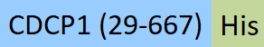 CD1-R52H3-structure