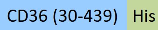 CD6-M52H3-structure