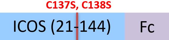 ICS-M5259-structure