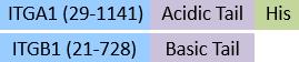 IN1-H52W9-structure