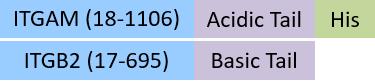 IT2-C52E2-structure