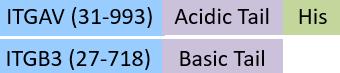 IT3-C52W3-structure