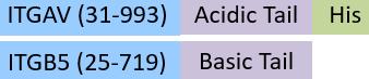 IT5-C52W3-structure