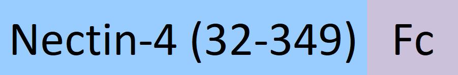 NE4-H5255-structure