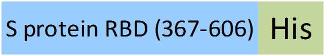 SPD-M52H6-structure